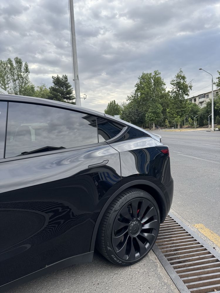 Tesla model Y performance