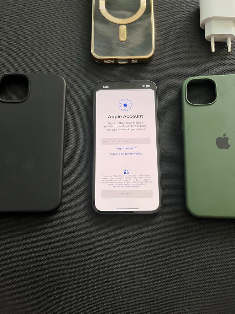 Iphone  13  100%