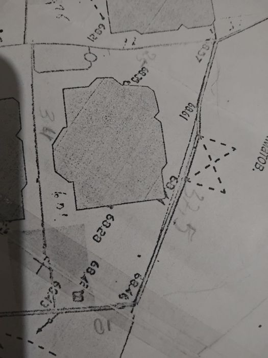 М.Улугбек район Амир Темур махалла 2519 оринтир