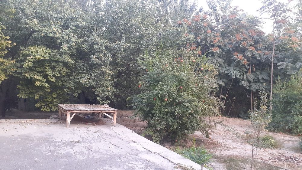 Avval qishlog‘idagi uy sotiladi