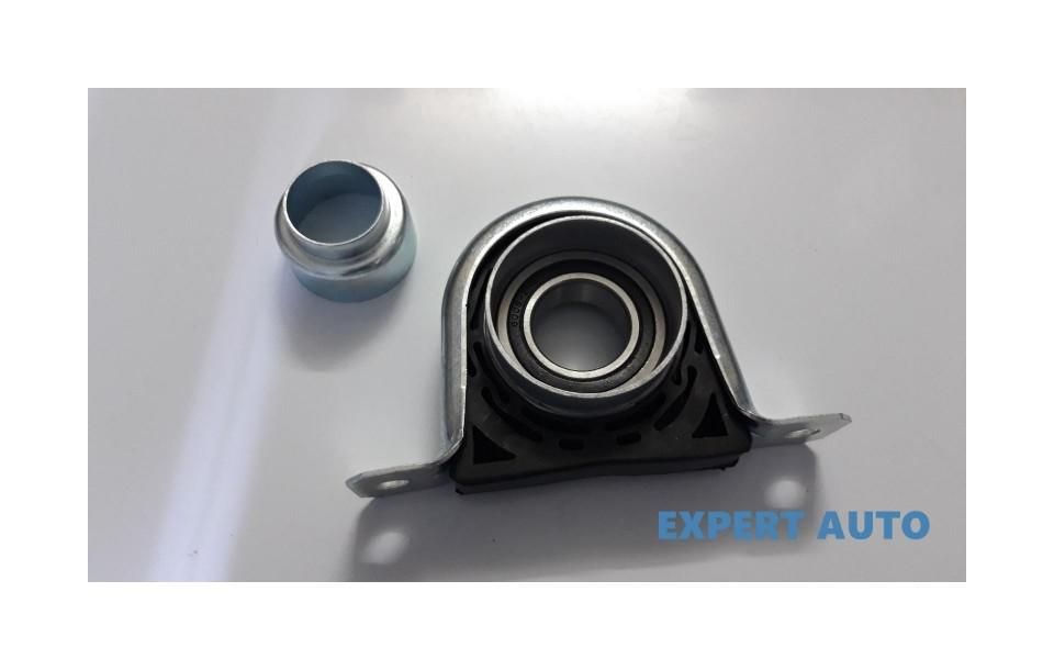 Rulment cardan iveco daily Iveco Daily 3 2006-> 0 4253 5254