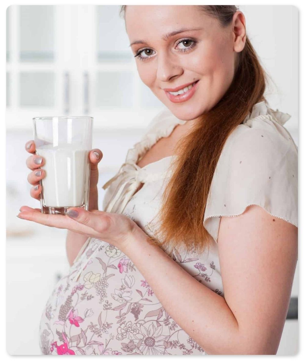 Bacterie / ciuperca probiotica chefir / kefir