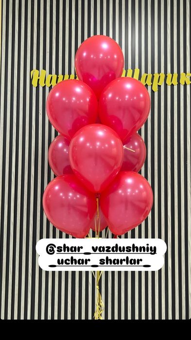 Teddi Teddy ayiqchalar (50sm 3m)