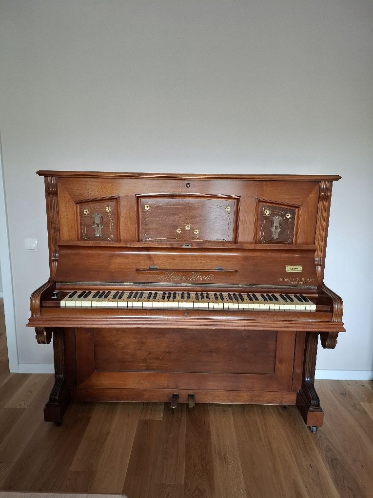 Pianina clasica Cluj-Napoca