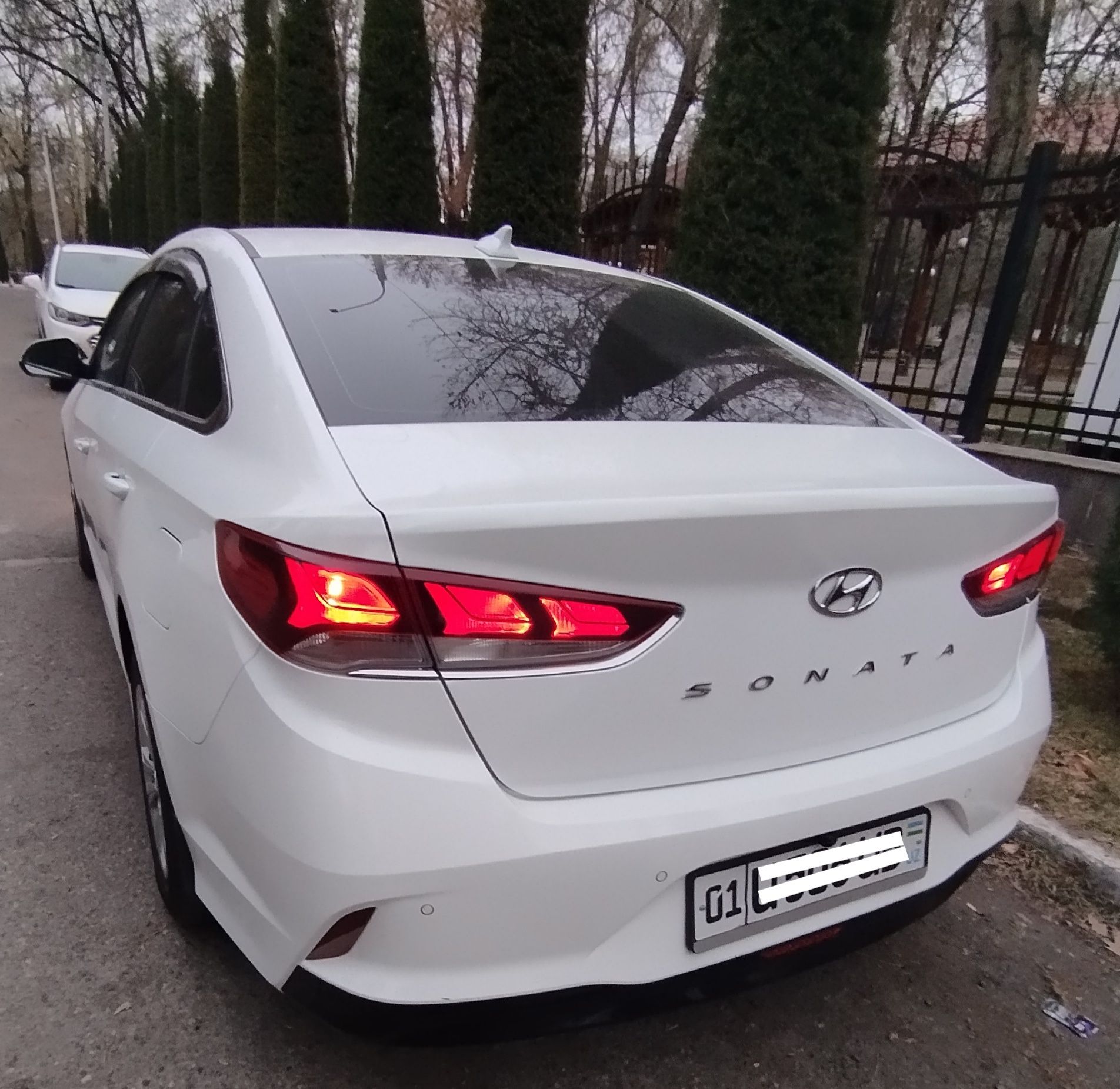 Hyundai sanata 2019, ўзимники, родной краски
