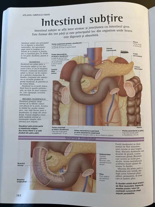 Atlasul corpului uman Corint
