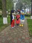 Mascote minnie si mickey