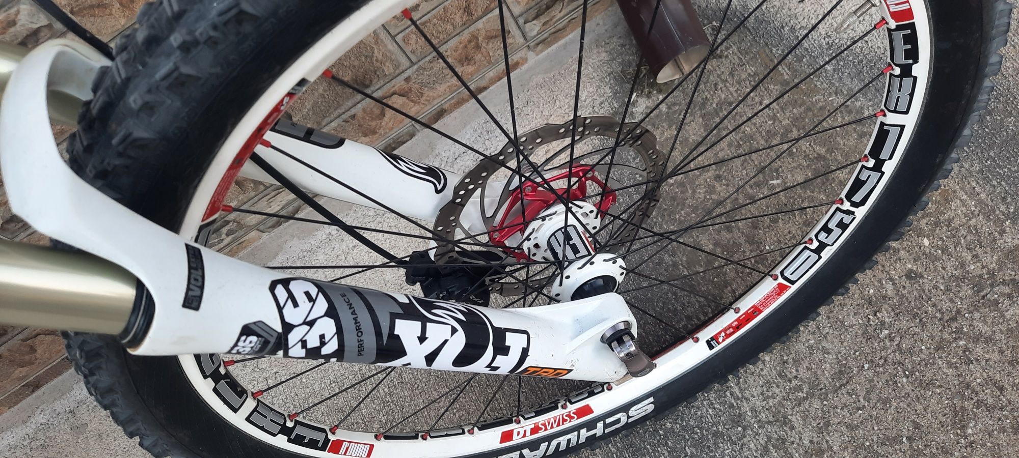 CANYON Strive 26"