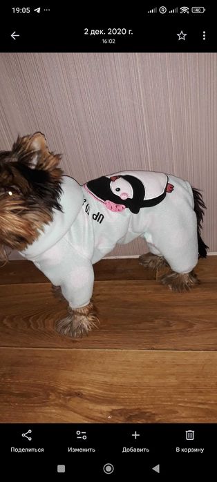 Ексклюзивна дрехи за малки кучета