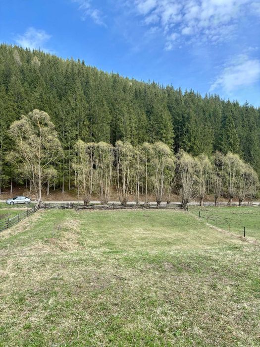 Teren de vânzare în Com. Ciocănești, Sat Botos, județul Suceava,