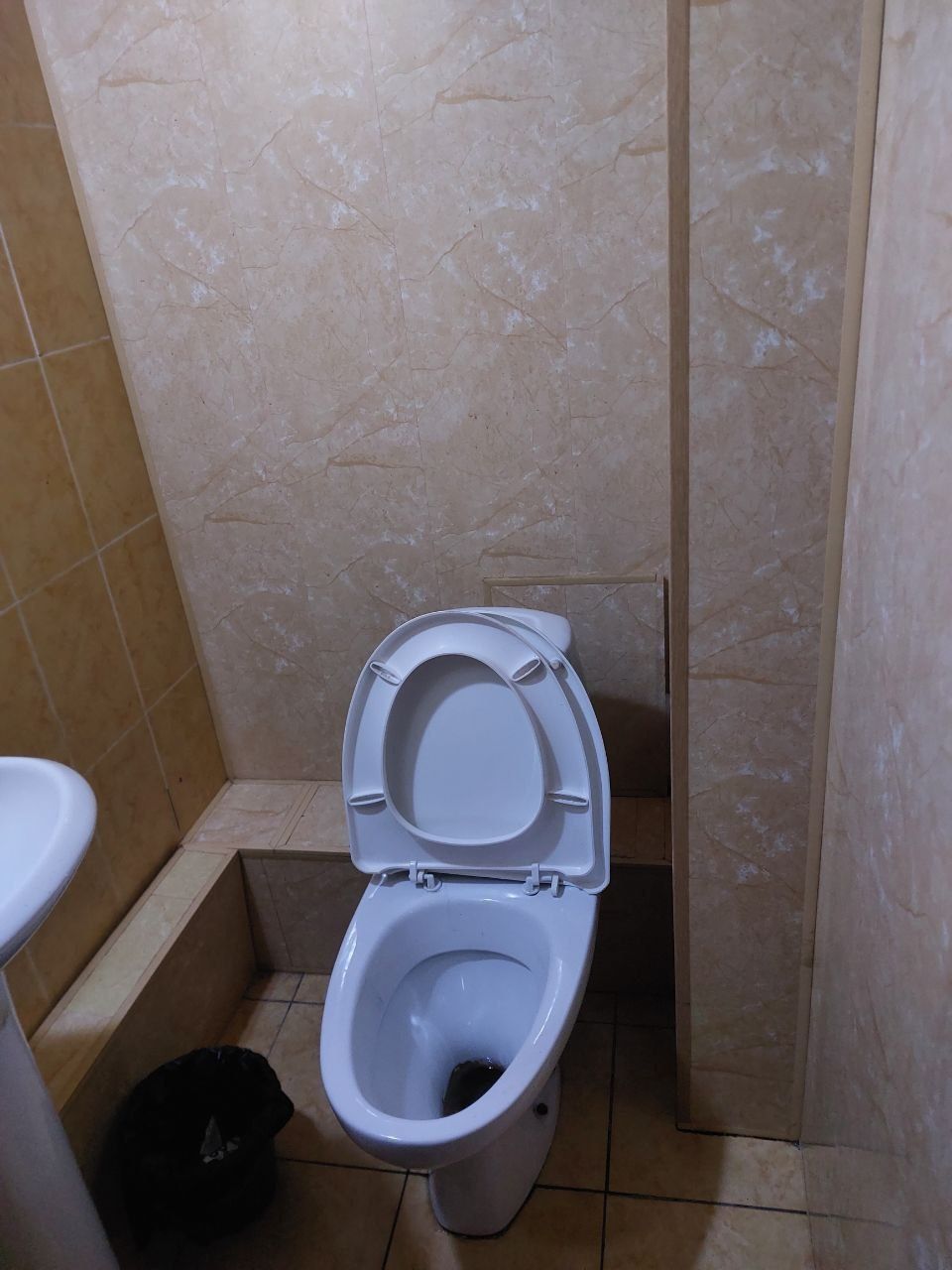 Квартира шерикликка кизларга