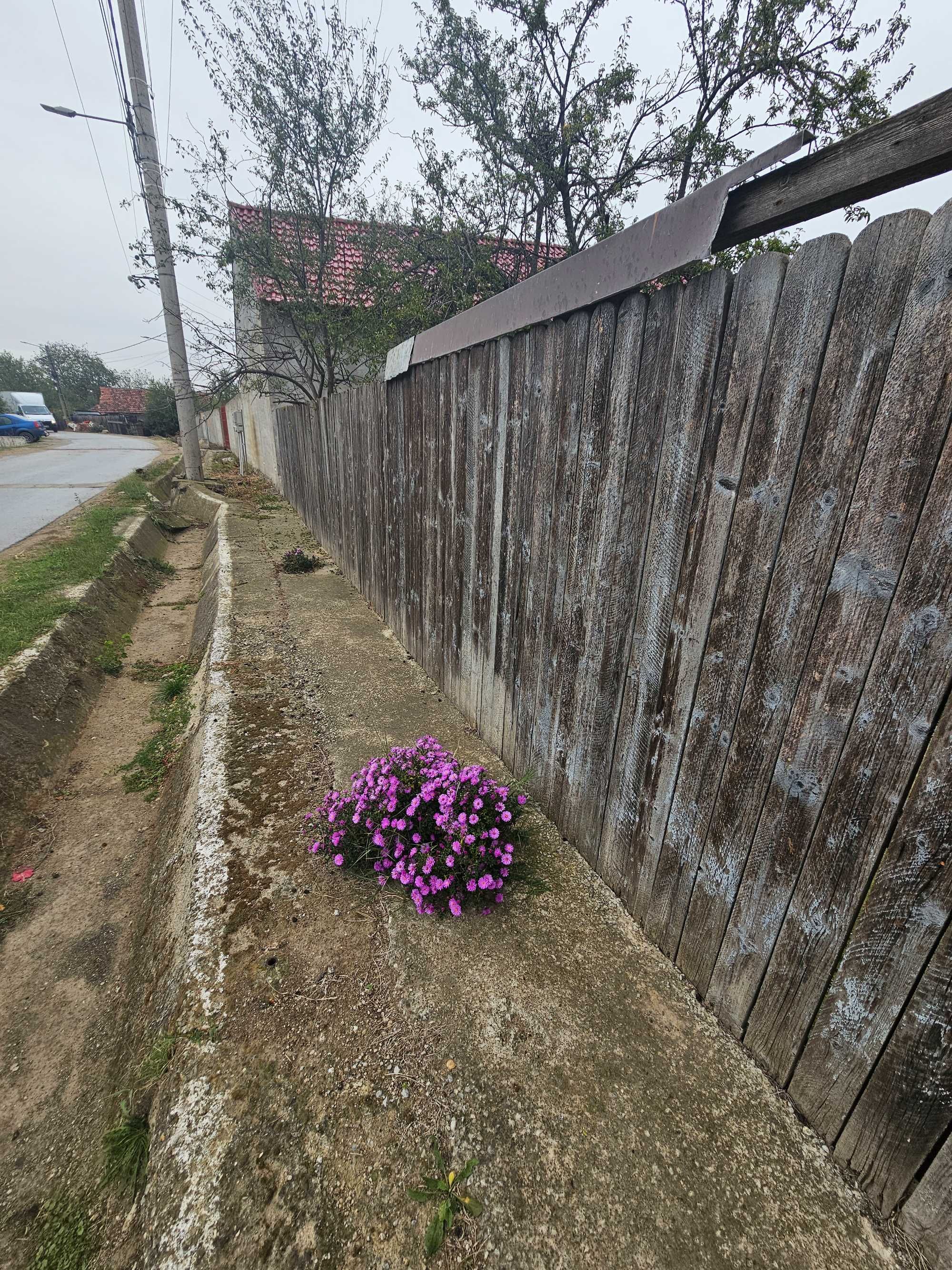 1000mp teren de vanzare in sat Halanga, com Izvorul Barzii, Mehedinti