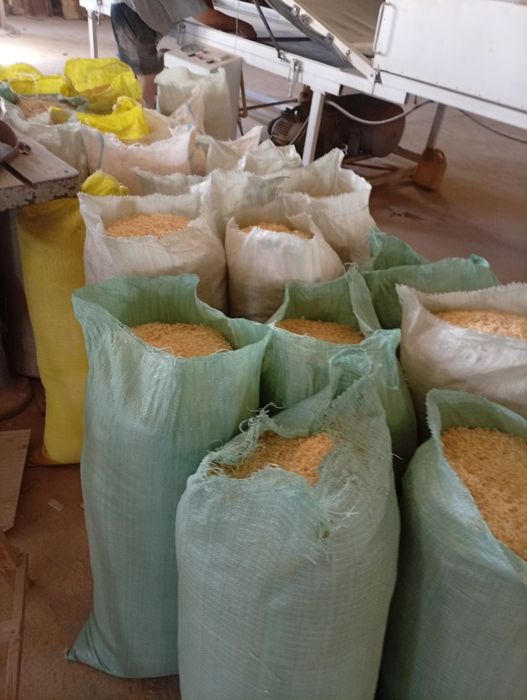 Апилка сотилилади 20000 су́м 50 килолик копда