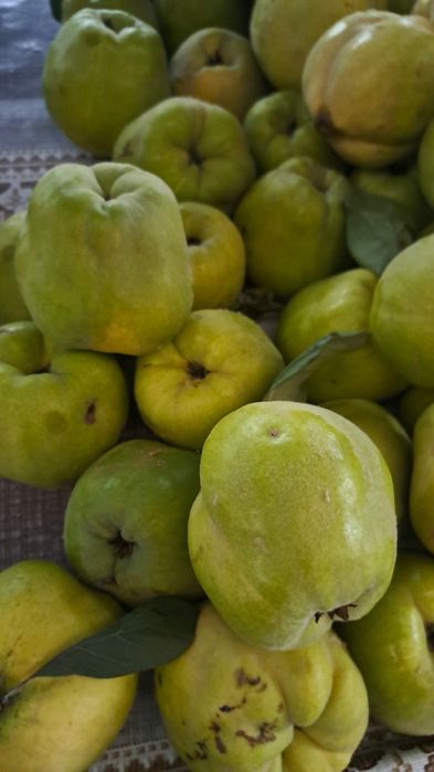 Gutui bio pt dulceață sau compot