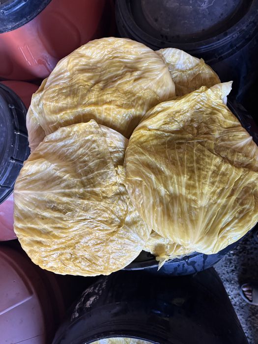 varza murata castraveti murati