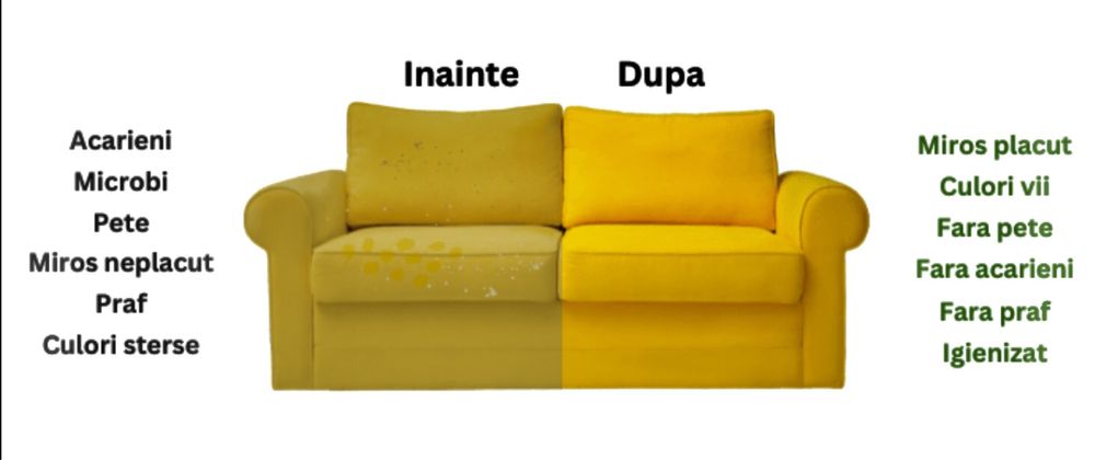 Spalare canapea ( TAPIȚERIE )