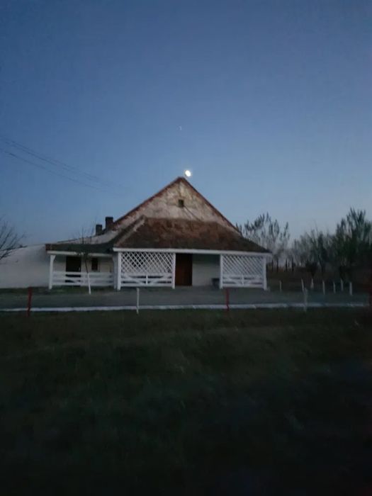 Ferma oi sau vaci