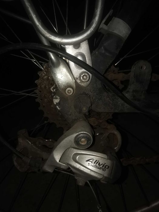 Bicicleta gazelle