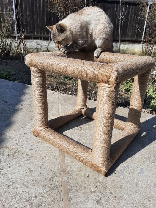 Sisal multifunctional pisici