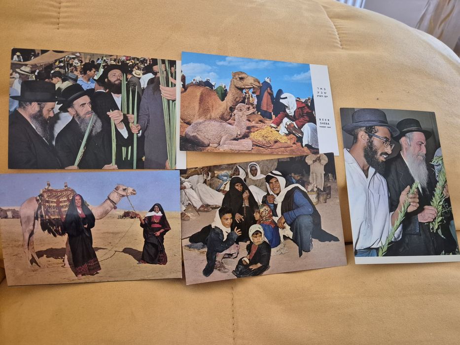 Vederi necirculate Israel