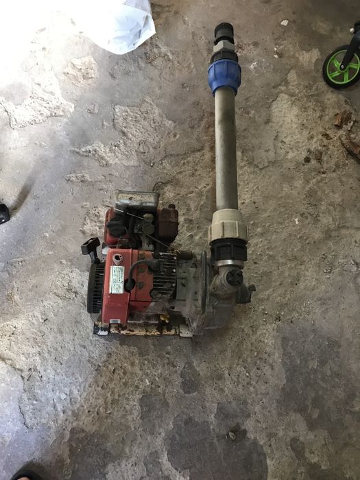 De  vabzare la pret de vara