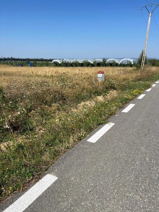 Vand teren Berivoi 4900 mp