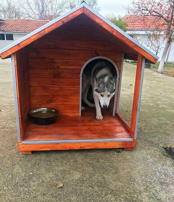 Кучешка къща,кучешка колиба