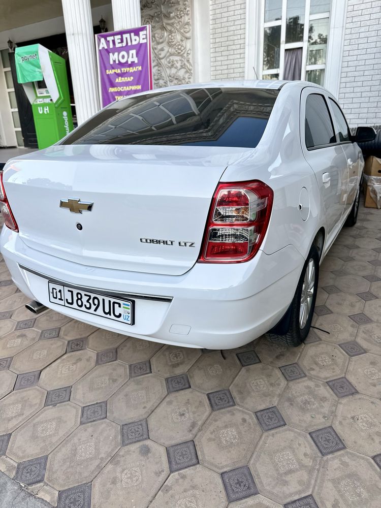Cobalt 2022 kraska toza