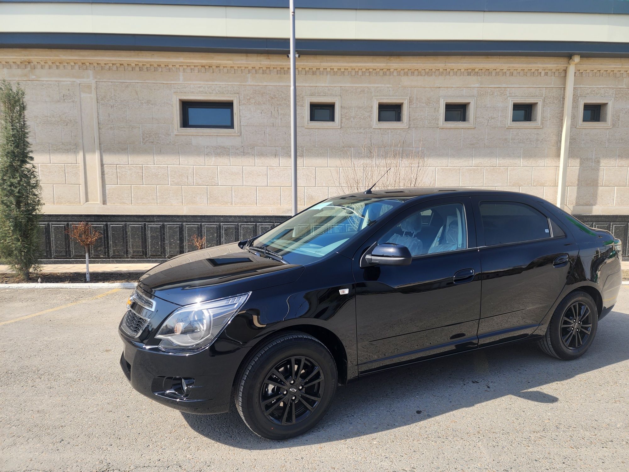 Kobalt Cobalt 2025