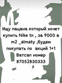 Nike air max tn