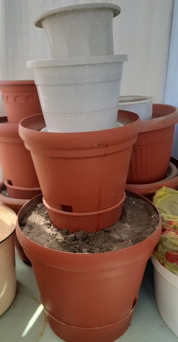 Горшки для комнатных растений