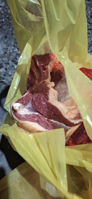 Продам мясо конина молодняк пакетах по 10-12