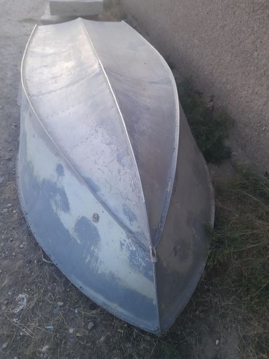 Lotka mator sotiladi