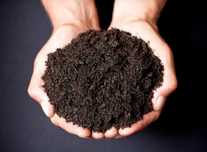 Pamant negru vegetal. Pamant de umpluturi