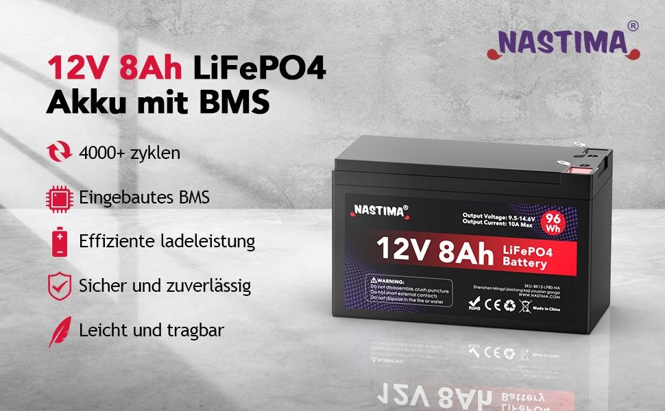 12V 8Ah LiFePO4 Акумулаторна батерия с вграден BMS и голям цикъл 4000+