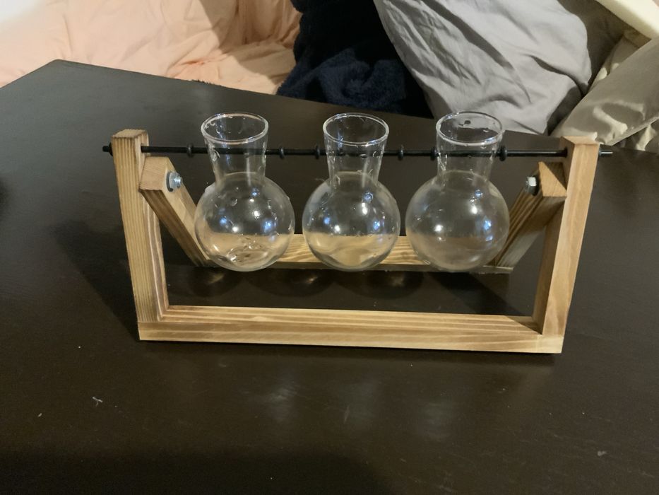 Терариум колбиза растения