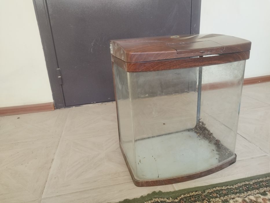 Аквариум хороший