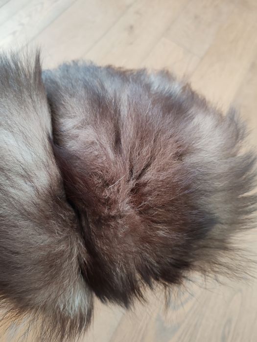 Manson blana de nurca