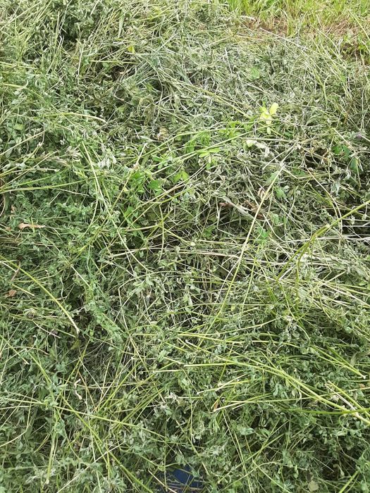 Косим траву,газон