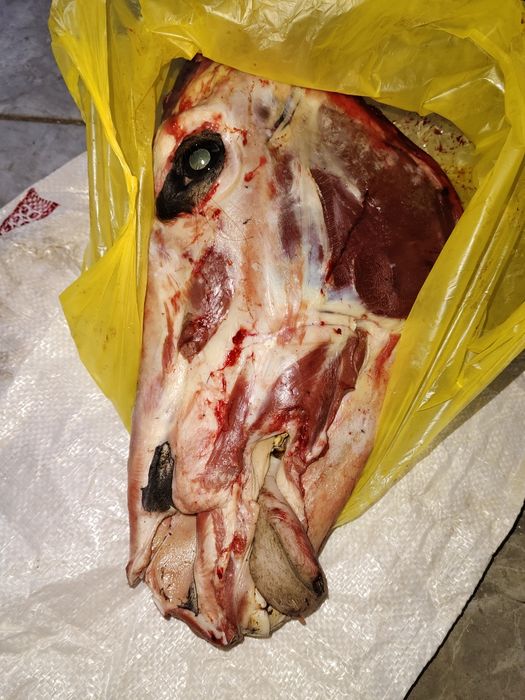 Голова конины свежее