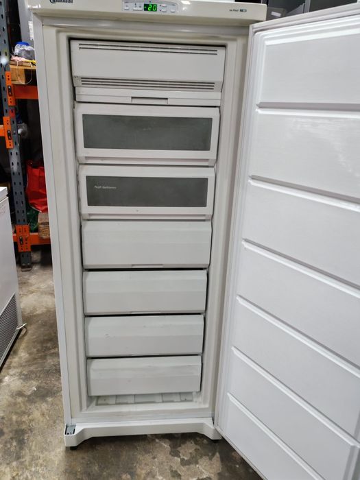 Congelator Bauchneckt No Frost