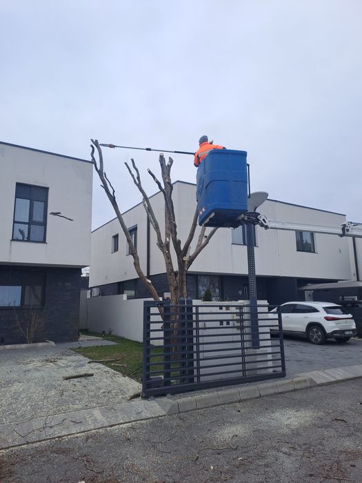 Alpinism Utilitar/Tăiere Arbori/Intervenții 24/7.