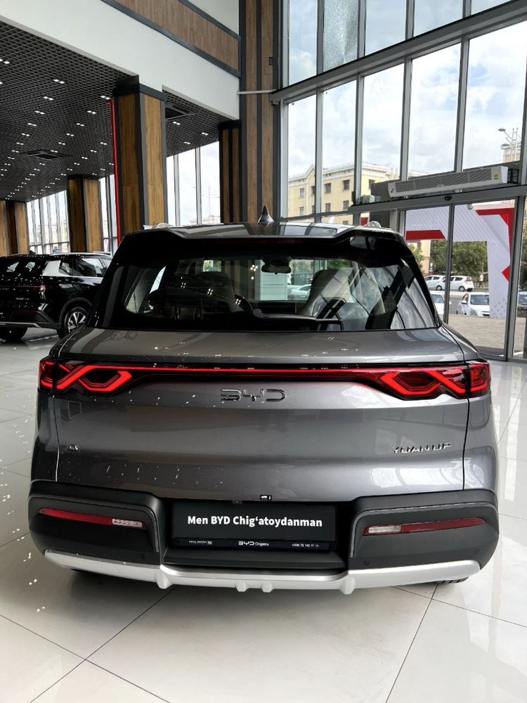 BYD YUAN UP 401Km Flagship