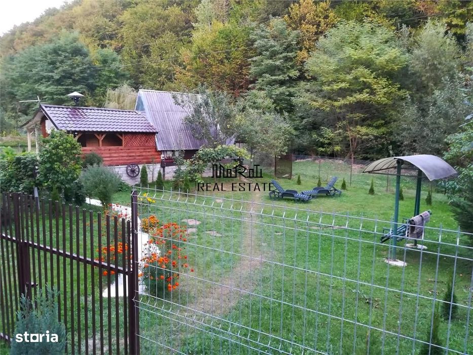 Iaz de vanzare in Apuseni- cazare, agrement si pescuit la DN74