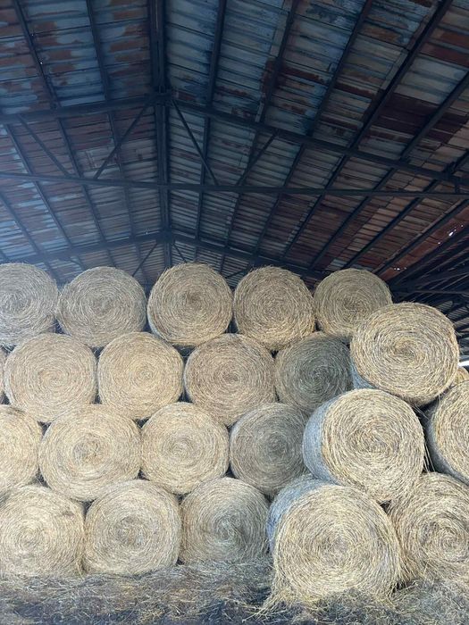 Бали Ливадно сено 2025 година