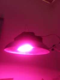 освещение для растений и рассады Фито-лампа