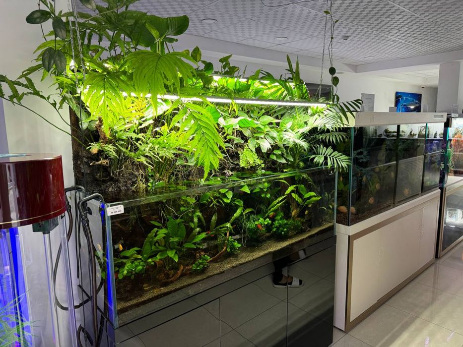 Палюдариум /Palydarium