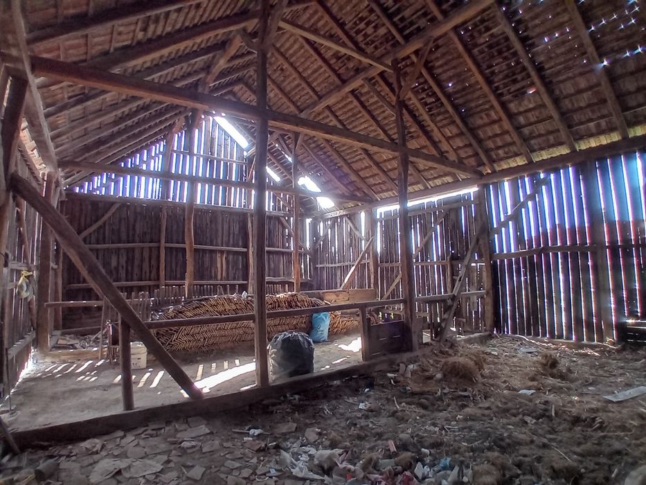 Șură din stejar de vânzare