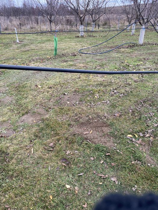 Vand doua bazine curate de 1000 l cu suporturi