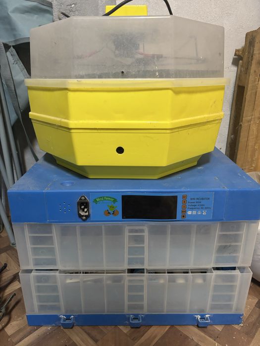 Vand 2 incubatoare !